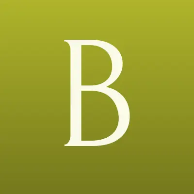 Буборг, производственная компания, лого-визитка