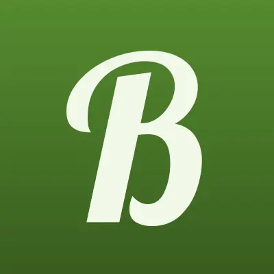 Bwf Protec, представительство в г. Санкт-Петербурге, лого-визитка