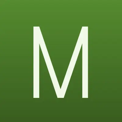 Магазин игрушек, ИП Колесникова Л.В., лого-визитка