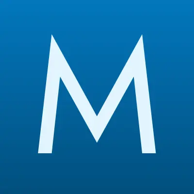 Мастер Шин, шиномонтажная мастерская, лого-визитка