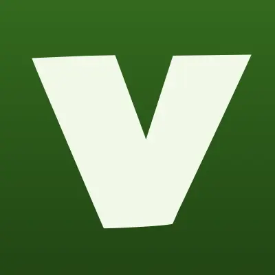 Vista pro, лого-визитка